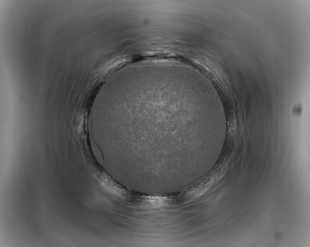 X0000099450233200805091512