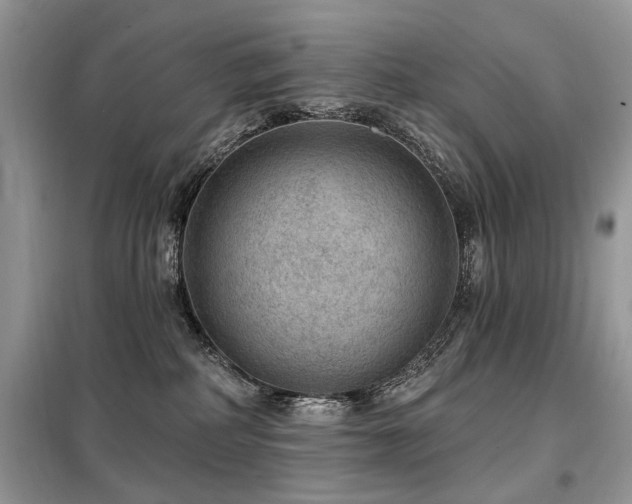X0000099450234200805091512