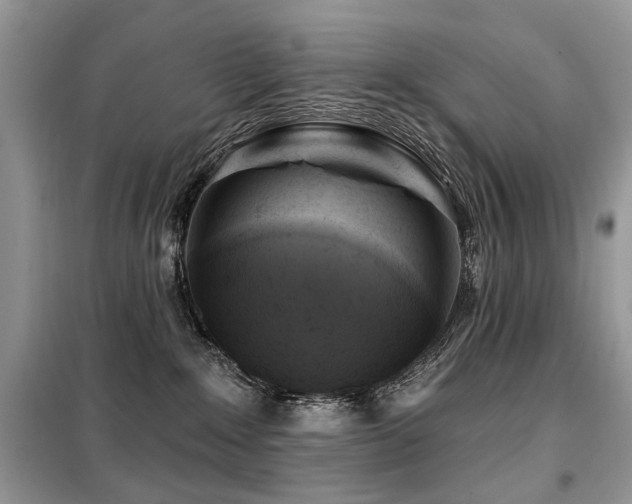 X0000099450235200805091512