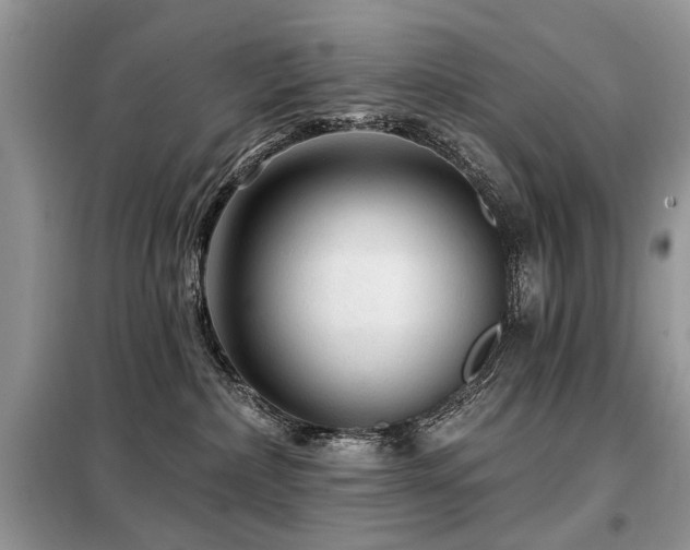 X0000099450236200805091512