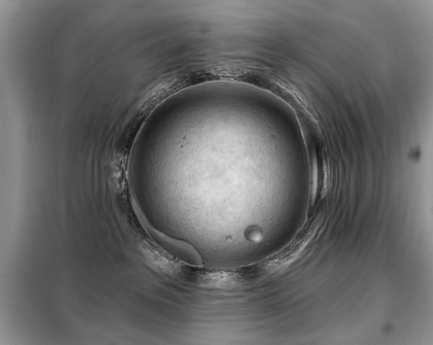 X0000099450237200805091512