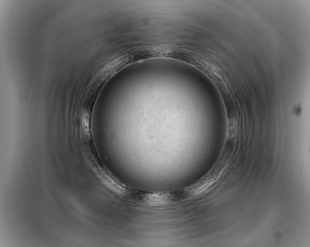 X0000099450238200805091512