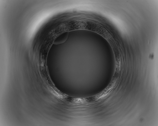 X0000099450239200805091512