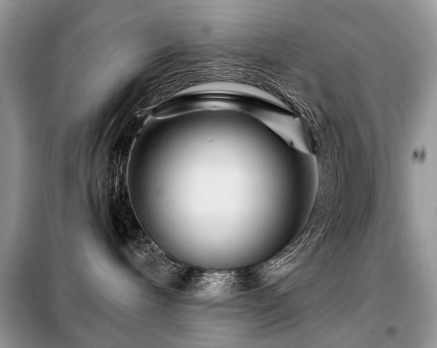 X0000099450240200805091512