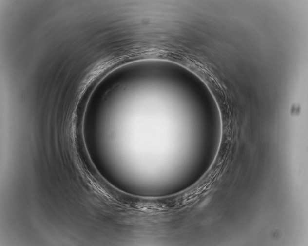 X0000099450242200805091511