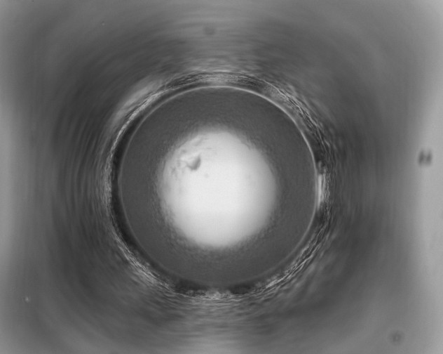 X0000099450243200805091511