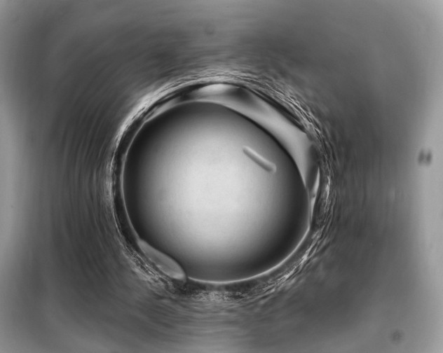 X0000099450244200805091511