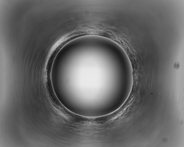 X0000099450246200805091512