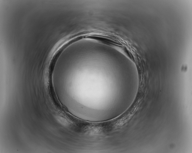 X0000099450247200805091512