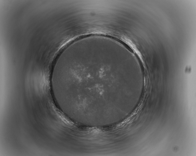 X0000099450249200805091512