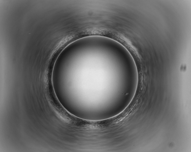 X0000099450250200805091512