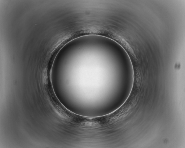 X0000099450251200805091512