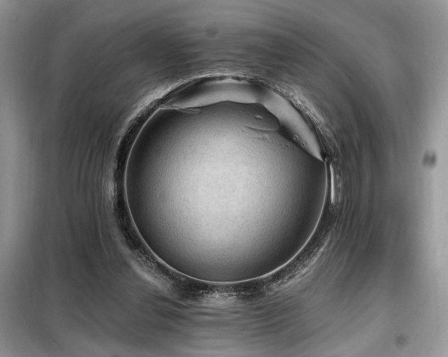 X0000099450252200805091512