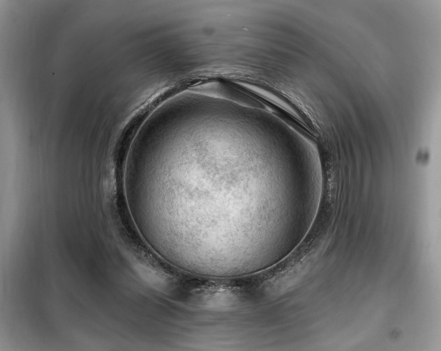 X0000099450254200805091512