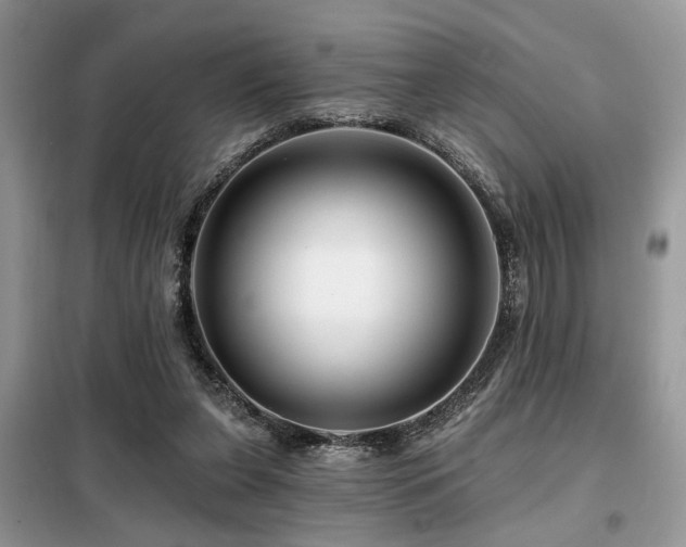 X0000099450255200805091512