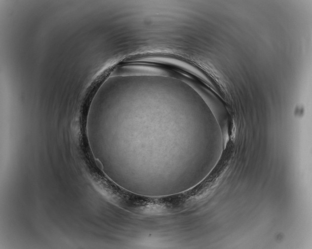 X0000099450256200805091512