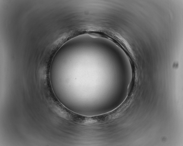 X0000099450257200805091512