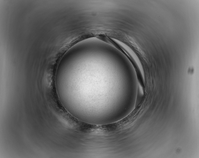 X0000099450259200805091512