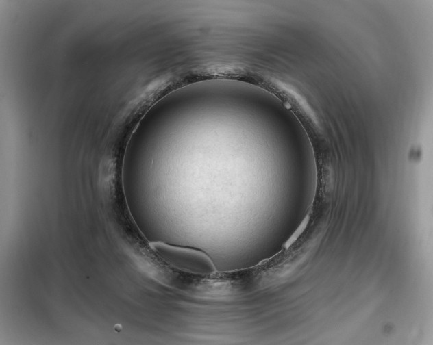 X0000099450260200805091512