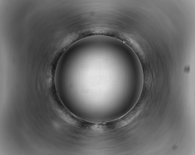 X0000099450261200805091512