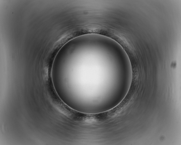 X0000099450262200805091512