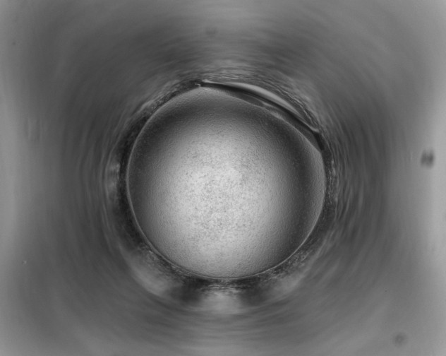 X0000099450263200805091512
