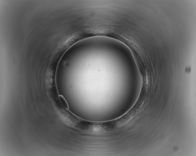 X0000099450264200805091512