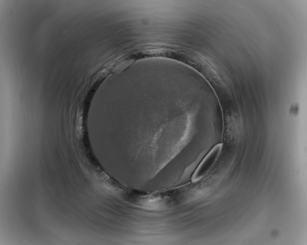 X0000099450267200805091512
