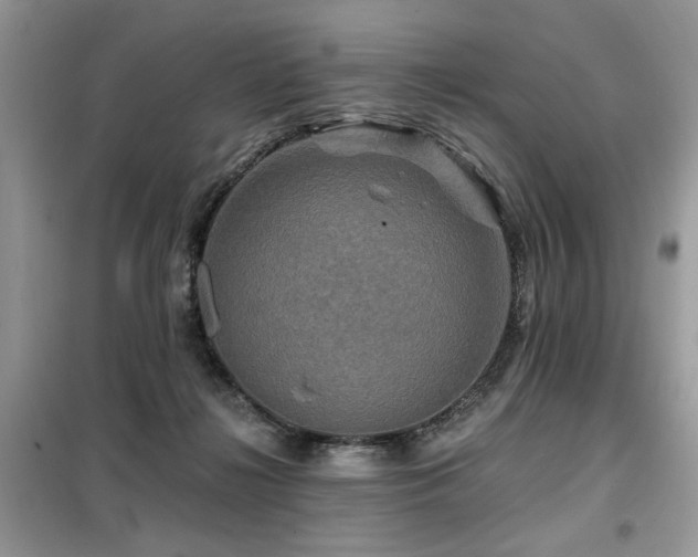 X0000099450268200805091512