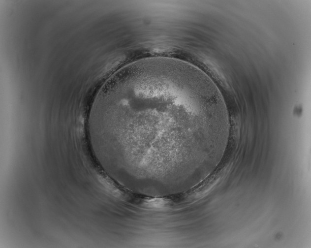 X0000099450269200805091512
