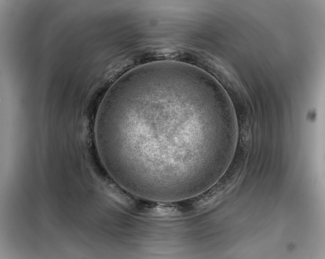 X0000099450270200805091512