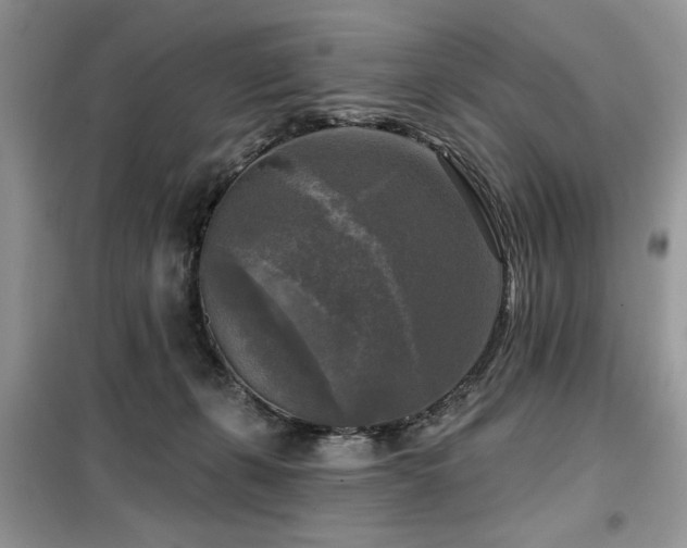 X0000099450271200805091512