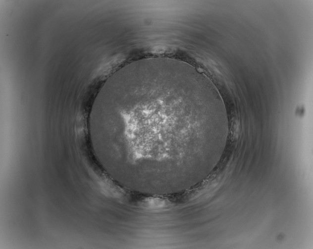 X0000099450272200805091512