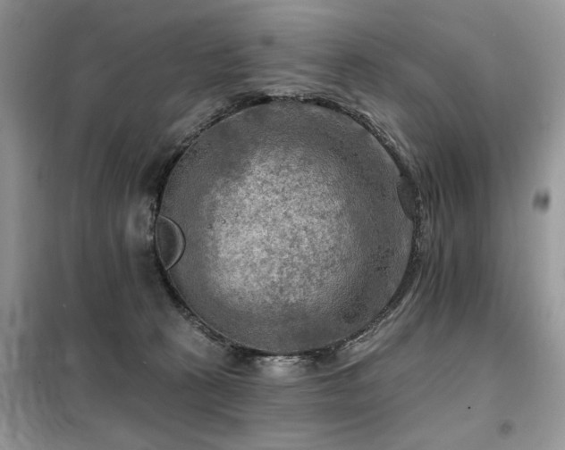 X0000099450273200805091512