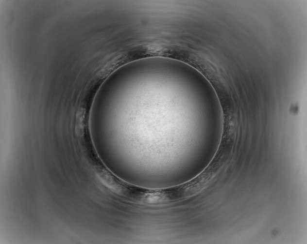 X0000099450275200805091512