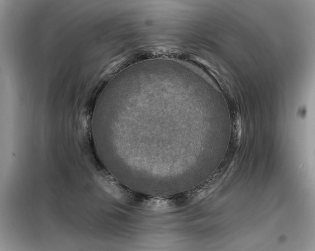 X0000099450276200805091512