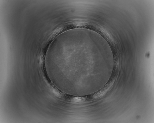 X0000099450277200805091512