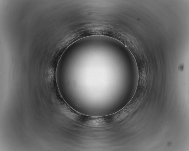 X0000099450278200805091512