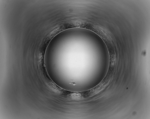 X0000099450279200805091512