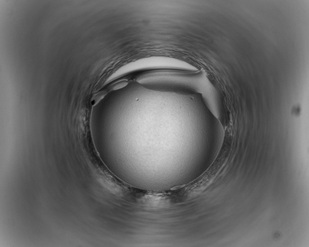 X0000099450280200805091512