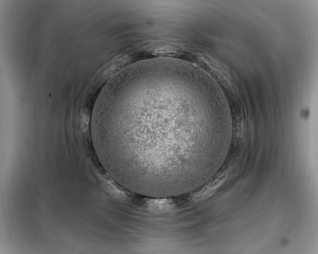 X0000099450281200805091512