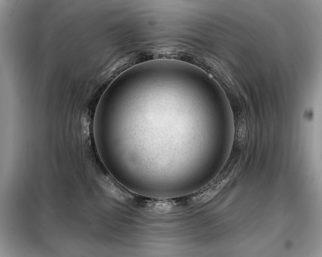 X0000099450282200805091512