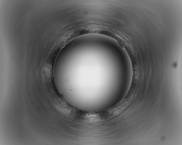 X0000099450283200805091512