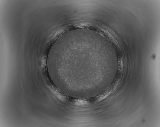 X0000099450284200805091512