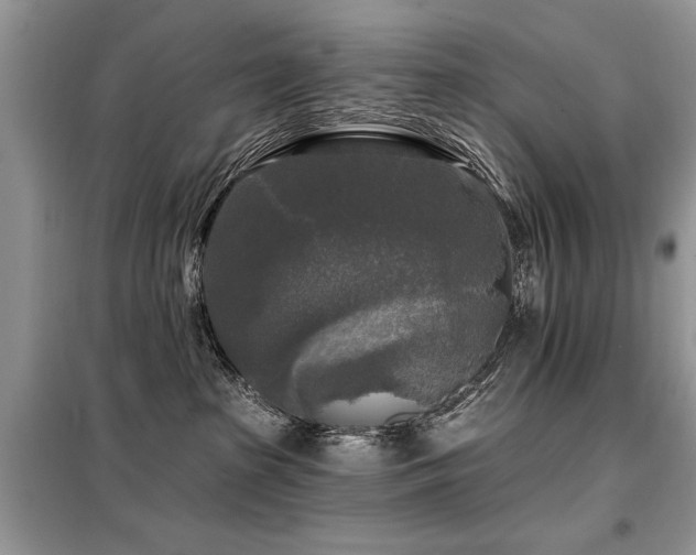 X0000099450285200805091512