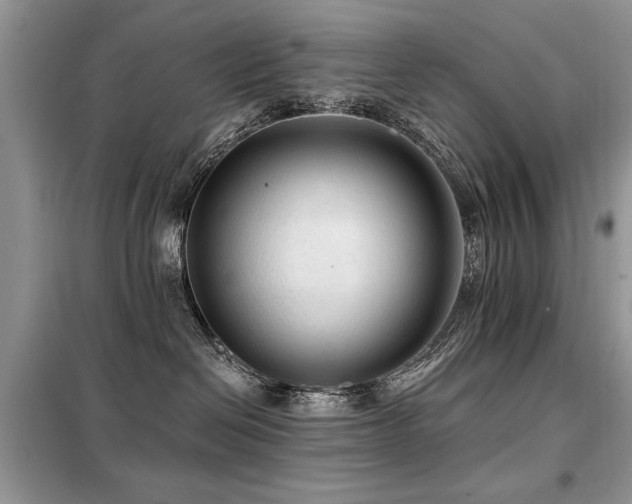 X0000099450286200805091512