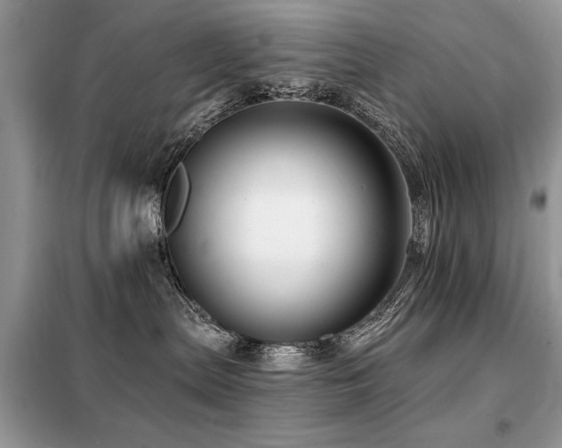 X0000099450287200805091512