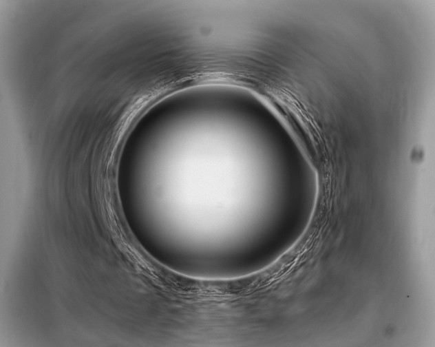 X0000099450289200805091511