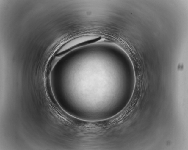 X0000099450290200805091511