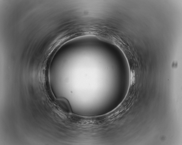X0000099450291200805091511